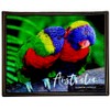Twigg Puzzle Wooden Framed Postcard Puzzles, Koala