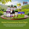 Herbs Etc. ChlorOxygen Chlorophyll Concentrate - Highly-Concentrated Energy Support -