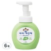 iClean Antibacterial Foam Hand Soap Green Grape Fragrance, 250ml, 6 Pieces / 아이깨끗해 항균 폼 핸드솝 청포도향, 250ml, 6개