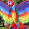 Kite 3D Parrot Kite Easy to Fly Beginner Kites for