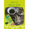 Rapunzel bioSnacky Mung bean sprouting seeds | Easy to grow