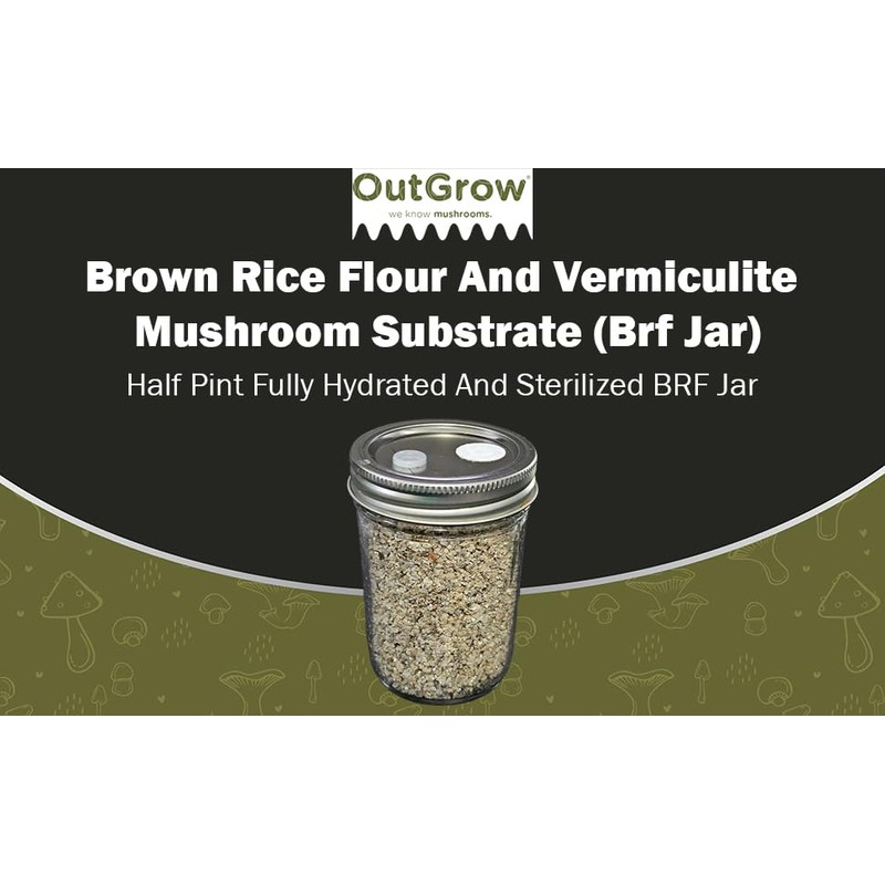 BRF Jars Brown Rice Flour Mushroom Substrate