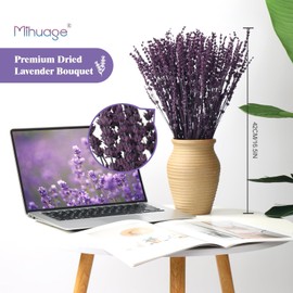 MIHUAGE Dried Preserved Lavender Flowers - 2 Bundles with 3.5oz for Home Decor, DIY Arrangements, Photo Props, & Fragrance - 15"-17", Purple Lavender Bunches.