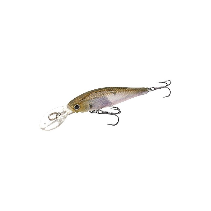 Lucky Craft PT65DD-238GMN Pointer