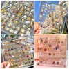 Vordpe 36 Compartments Acrylic Magnetic Seashell Display Box, Clear Shell