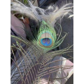 Unbranded Peacock feathers- white or Indian blue