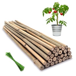 Plant Stakes,16 Inches Natural Garden Bamboo Sticks,BOVITRO 20Pcs Plant Support Stakes for Tomatoes,Beans,Vegetable and Potted Plants