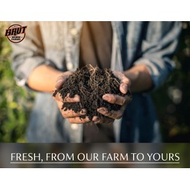 Brut Organic Aspen Mulch, 10 Quart, Odor-Free, Nutrient Rich, High Water Retention, for Vegetable Gardens, Houseplants, Landscaping