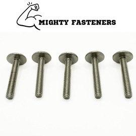 Mighty Fasteners Combo Sidewalk Bolts, 304 Stainless Steel, Hurricane Hardware, 1/4" X 2-1/2", 100-Pack