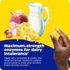 Enzymedica Lacto, Maximum Strength Formula for Dairy Intolerance, with Enzymes