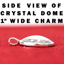 Fashion Jewelry MALE FEMALE CARDINAL BIRD WORDS Large Pendant Charm GERMAN Silver 20" Necklace