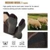 WANDER Merino Wool Socks Men 3 Pairs Cushioned Calf Boot