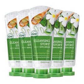 Sean Story Aloe Cleansing Foam 120ml 5pcs / 세안이야기 알로에 클렌징폼 120ml 5개