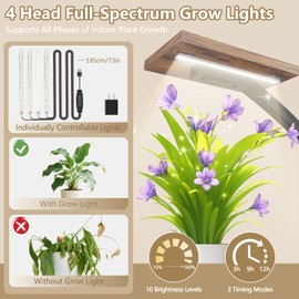 Plant Stand Indoor with Grow Lights - 10 Tiered Indoor Plant Shelf, 65" Corner Plant Stands for Indoor Plants, Tree Shaped Plant Rack for Multiple Plants, Metal Flower Display for Home, Balcony, Patio