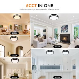 4-Pack 10Inch 30W LED Flush Mount Ceiling Light Fixtures Bright 3200LM Dimmable Ceiling Lights, 5CCT Adjustable 2700K/3000K/4000K/5000K/6500K, Ceiling Lamps for Kitchen Hallway Bathroom Bedroom Black