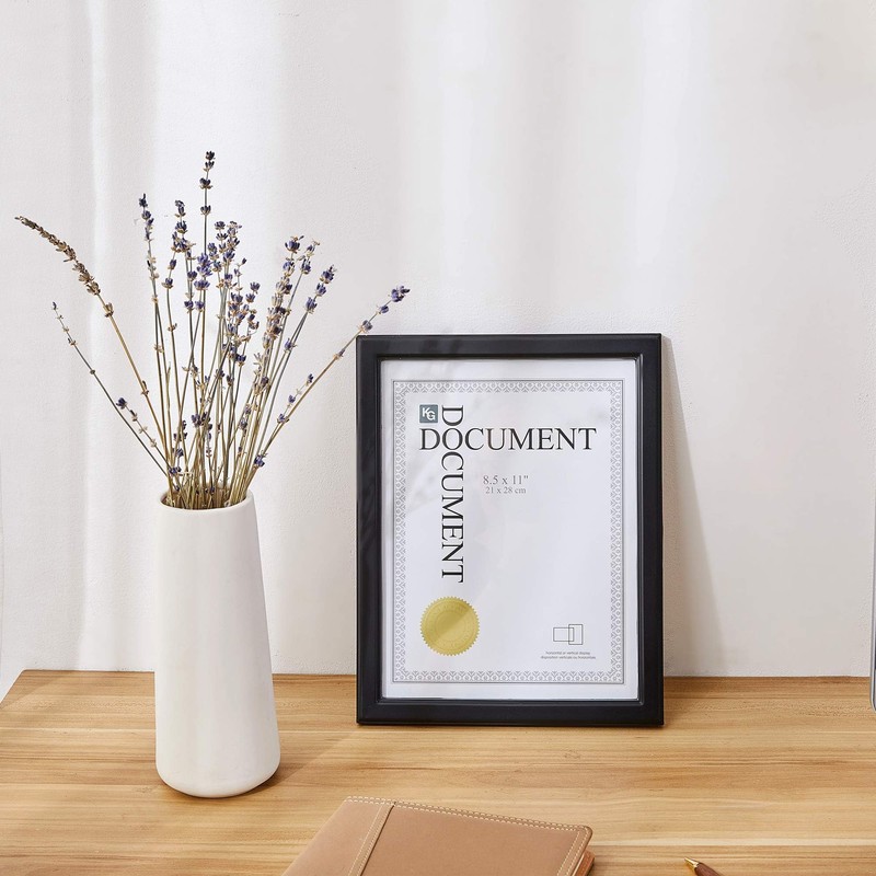 Kiera Grace Contemporary Document Picture Frame, 8.5 x 11 inches,