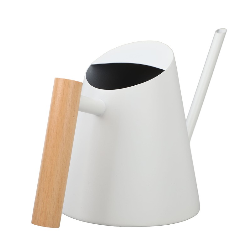 Watering Can with Long Spout 800ml Stainless Steel Matte Indoor