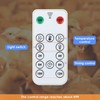 Gulfmew 1 Pack Chicken Coop Heater with Remote, 200W Chicken