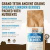 Grand Teton Ancient Grains - 100% Organic Einkorn Berries, Premium