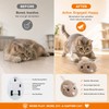 Electric Mouse Cat Toy for Indoor Play – Fast-Moving Plush