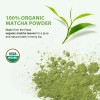 Polvo De Matcha Orgánico Para Lattes Y Hornear (4 Oz)