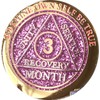 RecoveryChip 3 Month AA Medallion Reflex Pink Glitter Gold and
