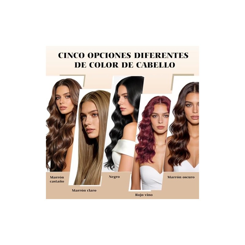 Champú para Teñir el Cabello,Champú para Cubrir Las Canas 500ml