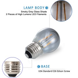 PANLAVIE 2 Watt Vintage Edison LED Bulbs, Globe LED Filament Bulb, 2700K Warm Light, E26 Medium Base, A15 Smoky Grey Glass Antique Tint, 25W Incandescent Replacement, Dimmable, Pack of 6