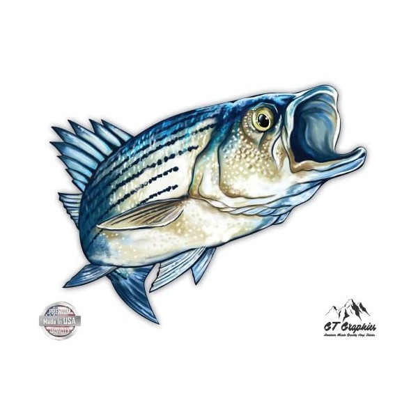 GT Graphics Striped Bass - 16" - Large Size Vinyl Sticker - Outdoor Indoor Decor