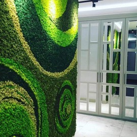 Sunydog Stabilised Moss Decoration, Wall Painting, Real Moss Preserved, No Maintenance Required, Natural Moss for House Walls, Festival for Christmas Decoration, Party