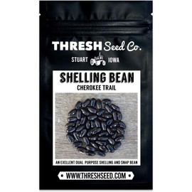Cherokee Trail of Tears Bean - 25 Seeds
