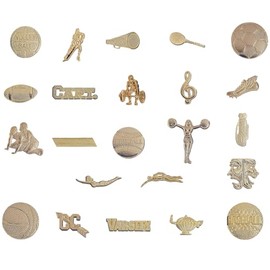 Chenille Pins Pack of 20. Many Sports and Activities to Choose From. Athletic and Club Pins. Gold Style Pins with Butterfly Backing. Pin Length is 7/16 inches. (Baseball)
