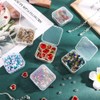 Case, Small Items, Plastic, Trinket Box, Set of 10, Divided