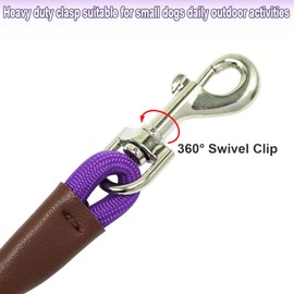 SEPXUFORE Small Dog Leash, 1/4" by 6/8/10 FT Lightweight Strong Nylon Rope Leash, Bright Classic Leash for Small Pets/Puppy/Cat (8ft, Purple)