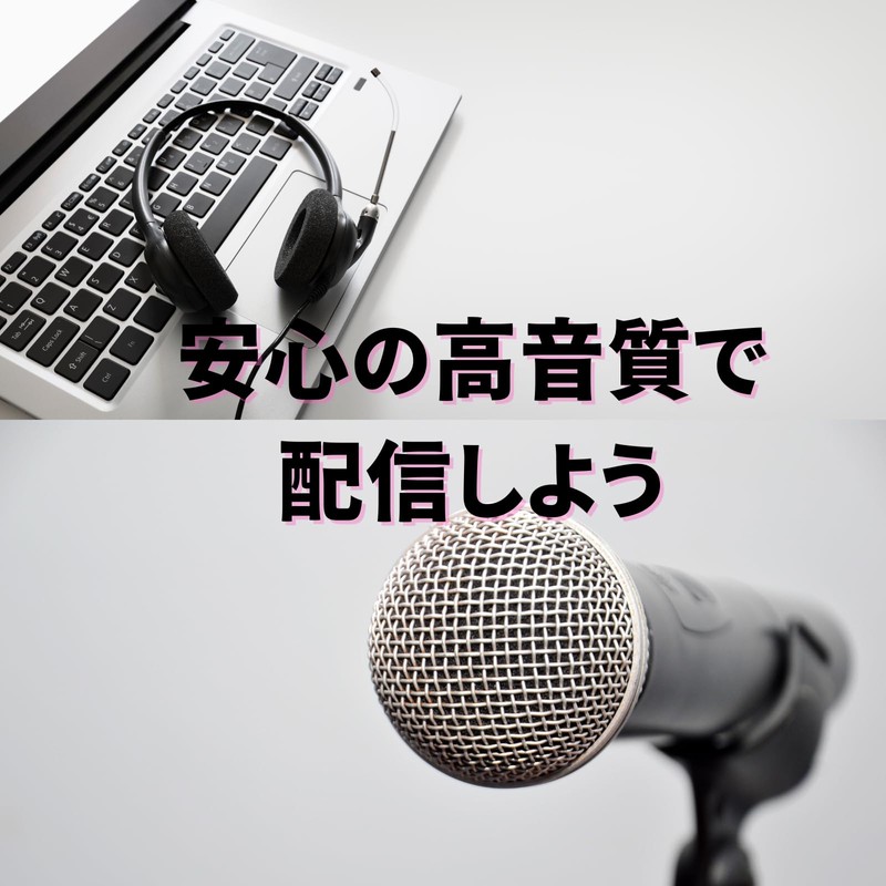 Fujirec Dynamic Microphone XLR Phone Cable Vocal Wired Hand Mic