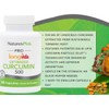 Nature's Plus NaturesPlus PRO Optimized Curcumin Capsules Longvida 500 mg