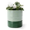 Fayoula Self Watering Pots for Indoor Plants, 6 Inch Ceramic