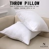 Nalitex Throw Pillow Inserts (Pack of 2, White) Decorative Throw
