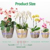 RAOOKIF 4 5 6 7 Inch Clear Orchid Pots, 8