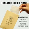 ORGAID Organic Sheet Mask | Made in USA (Assorted Multi-pack,