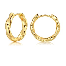 Gold Hoop Earrings for Women - Sterling Silver Twisted Hoop Earrings, Hypoallergenic Small Huggie Hoop Earrings Jewellery Gifts