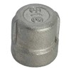 AF Hydro Stainless Steel SS316 Round Cap Pipe Fitting, 1/8''
