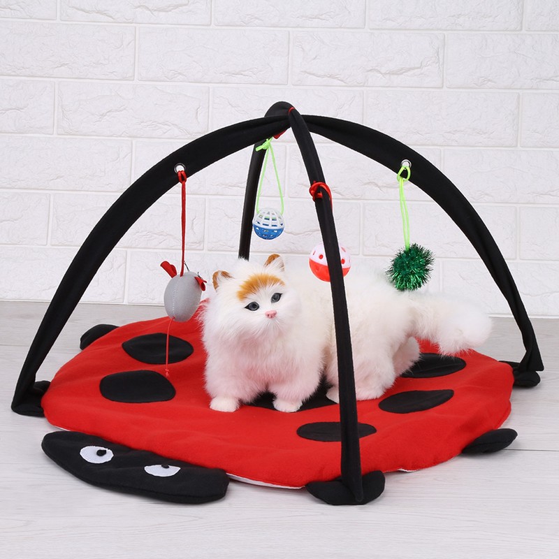 Foldable Cat Activity Play Mat Tent Multifunction Pet Bed with