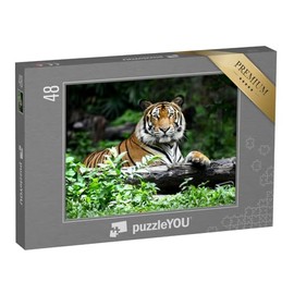 puzzleYOU: Bengal Tiger 48 Piece Puzzle - Tiger, Savannah & Desert Animals Puzzle Collection