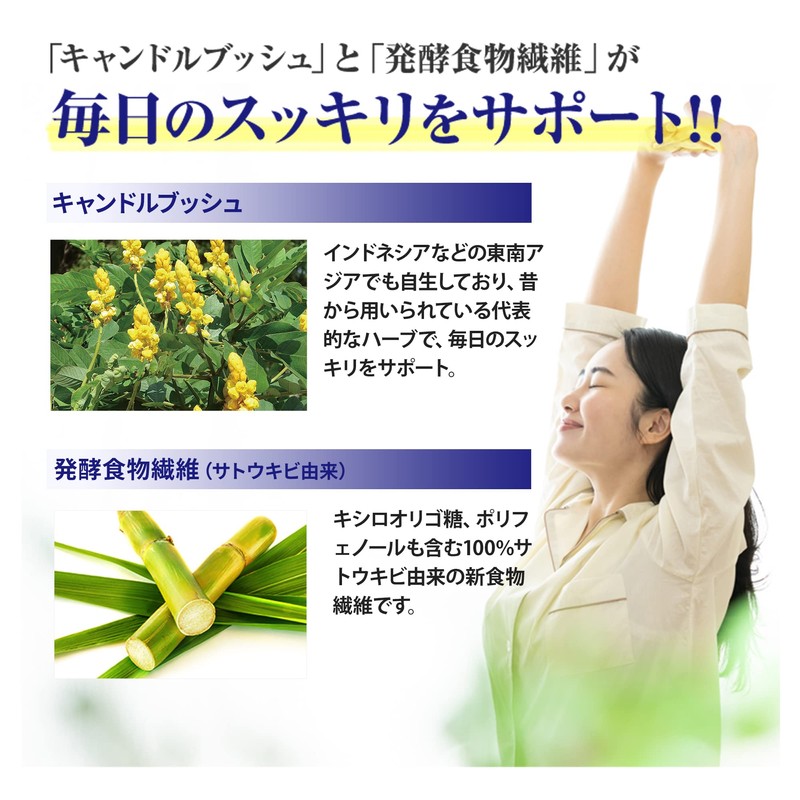 MDC メタボリック イースト×エンザイム ダイエット (150回分 300粒) 酵素 酵母 サプリ (和漢発酵エキス/活きてる酵素/酵母ペプチド)