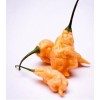 Jay's Peach 10 Jay's Peach Ghost Scorpion Pepper Fresh Seeds