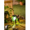 Evergreen Garden Quirky Solar Frog Lantern Outdoor Décor for Your