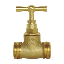 SOMATHERM FOR YOU - Twin Screw Interception Male MM15 / 21 - Head Stem - in Raw Brass