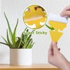 40 Pack Fungus Gnat Traps for House Indoor, Fungus Traps
