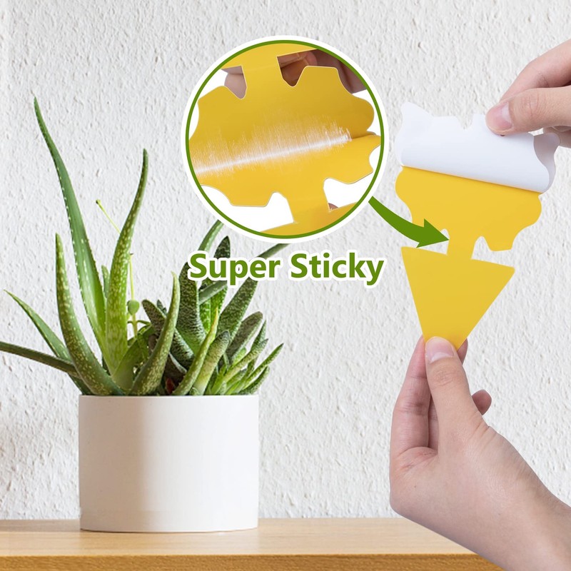 40 Pack Fungus Gnat Traps for House Indoor, Fungus Traps